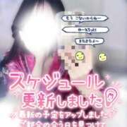 ヒメ日記 2026/03/01 07:07 投稿 ひな いざ候 本館