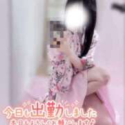 ヒメ日記 2026/03/02 15:19 投稿 ひな いざ候 本館