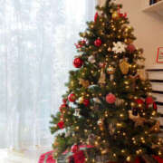 ヒメ日記 2024/12/19 17:11 投稿 みどり 性腺熟女100％（デリヘル市場）