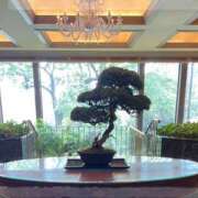 ヒメ日記 2025/01/14 18:17 投稿 みどり 性腺熟女100％（デリヘル市場）