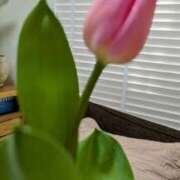 ヒメ日記 2025/01/30 12:17 投稿 みどり 性腺熟女100％（デリヘル市場）