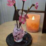 ヒメ日記 2025/03/03 21:11 投稿 みどり 性腺熟女100％（デリヘル市場）