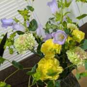 ヒメ日記 2025/06/16 07:20 投稿 みどり 性腺熟女100％（デリヘル市場）