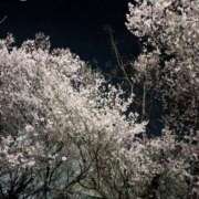 ヒメ日記 2026/03/21 22:24 投稿 みどり 性腺熟女100％本店（デリヘル市場）