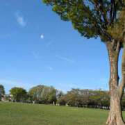 ヒメ日記 2026/04/13 07:23 投稿 みどり 性腺熟女100％本店（デリヘル市場）