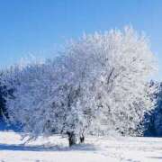 ヒメ日記 2024/12/24 10:25 投稿 みどり 性腺熟女100％鶯谷（デリヘル市場）