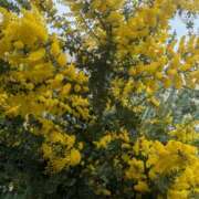 ヒメ日記 2026/02/28 10:52 投稿 みどり 性腺熟女100％鶯谷（デリヘル市場）