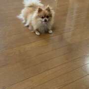 ヒメ日記 2025/07/22 11:20 投稿 らん オナクラ マスカット倶楽部