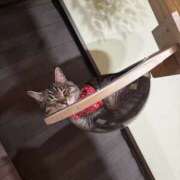 ひなた【AFで堕ちるガチ快楽】 予約した？ セクシャル