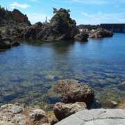 ヒメ日記 2024/12/14 05:56 投稿 やよい 新潟市鳥屋野潟ちゃんこ