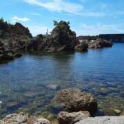 ヒメ日記 2025/03/03 21:26 投稿 やよい 新潟市鳥屋野潟ちゃんこ