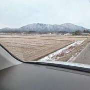 ヒメ日記 2025/03/04 14:46 投稿 やよい 新潟市鳥屋野潟ちゃんこ