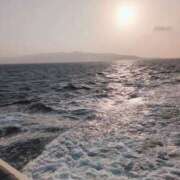 ヒメ日記 2025/03/22 18:26 投稿 やよい 新潟市鳥屋野潟ちゃんこ