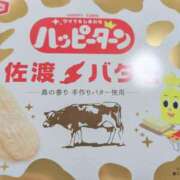 ヒメ日記 2025/03/23 10:36 投稿 やよい 新潟市鳥屋野潟ちゃんこ