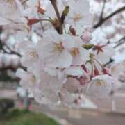ヒメ日記 2025/04/13 18:26 投稿 やよい 新潟市鳥屋野潟ちゃんこ