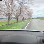 ヒメ日記 2025/04/14 17:31 投稿 やよい 新潟市鳥屋野潟ちゃんこ