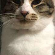 ヒメ日記 2025/03/05 04:30 投稿 きり スピードエコ天王寺店