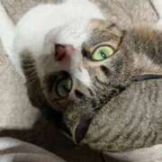 ヒメ日記 2025/04/24 00:10 投稿 きり スピードエコ天王寺店