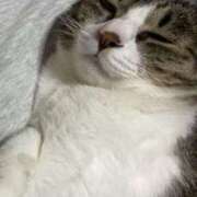 ヒメ日記 2025/04/24 21:10 投稿 きり スピードエコ天王寺店