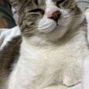 ヒメ日記 2025/04/28 23:30 投稿 きり スピードエコ天王寺店