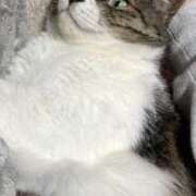 ヒメ日記 2025/05/02 22:01 投稿 きり スピードエコ天王寺店