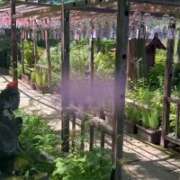 ヒメ日記 2025/09/25 02:35 投稿 りつか 千葉人妻花壇