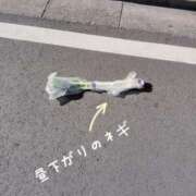 ヒメ日記 2026/02/25 11:59 投稿 りつか 千葉人妻花壇