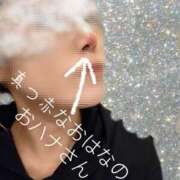 ヒメ日記 2026/04/01 12:16 投稿 りつか 千葉人妻花壇