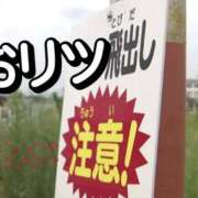 ヒメ日記 2026/07/17 11:06 投稿 りつか 千葉人妻花壇