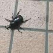 ヒメ日記 2026/07/20 02:07 投稿 りつか 千葉人妻花壇