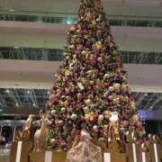 ヒメ日記 2024/12/26 00:26 投稿 水川★ 恵里亜(エリア)