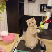 ヒメ日記 2024/12/20 08:21 投稿 さゆり 熟女の風俗アウトレット 岐阜岐南店