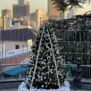 ヒメ日記 2024/12/23 01:31 投稿 さゆり 熟女の風俗アウトレット 岐阜岐南店