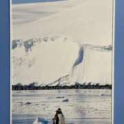 ヒメ日記 2025/01/08 08:41 投稿 さゆり 熟女の風俗アウトレット 岐阜岐南店