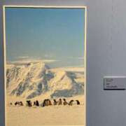 ヒメ日記 2025/01/09 08:51 投稿 さゆり 熟女の風俗アウトレット 岐阜岐南店