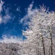 ヒメ日記 2025/01/10 16:21 投稿 さゆり 熟女の風俗アウトレット 岐阜岐南店