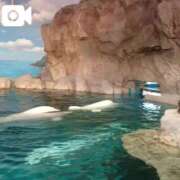 ヒメ日記 2025/01/12 05:11 投稿 さゆり 熟女の風俗アウトレット 岐阜岐南店