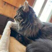 ヒメ日記 2025/03/03 08:51 投稿 さゆり 熟女の風俗アウトレット 岐阜岐南店