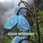 ヒメ日記 2025/04/06 09:02 投稿 さゆり 熟女の風俗アウトレット 岐阜岐南店