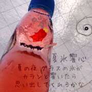 ヒメ日記 2025/08/02 11:52 投稿 しゅん★ 恵里亜(エリア)