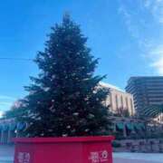 ヒメ日記 2024/12/27 16:40 投稿 スイ 贅沢なひと時