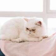 ヒメ日記 2024/12/29 16:17 投稿 スイ 贅沢なひと時