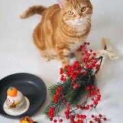 ヒメ日記 2025/01/04 14:06 投稿 スイ 贅沢なひと時