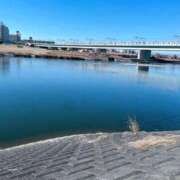 ヒメ日記 2025/02/01 17:05 投稿 スイ 贅沢なひと時