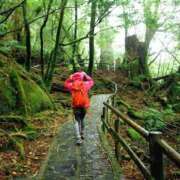 ヒメ日記 2025/04/19 19:04 投稿 スイ 贅沢なひと時