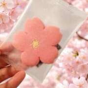 スイ 満開だって🌸 贅沢なひと時