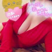 ヒメ日記 2024/12/13 17:03 投稿 ひなの 和楽(わらく)