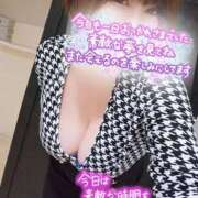 ヒメ日記 2024/12/16 00:31 投稿 ひなの 和楽(わらく)