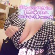 ヒメ日記 2024/12/19 00:29 投稿 ひなの 和楽(わらく)