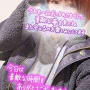 ヒメ日記 2024/12/23 01:07 投稿 ひなの 和楽(わらく)